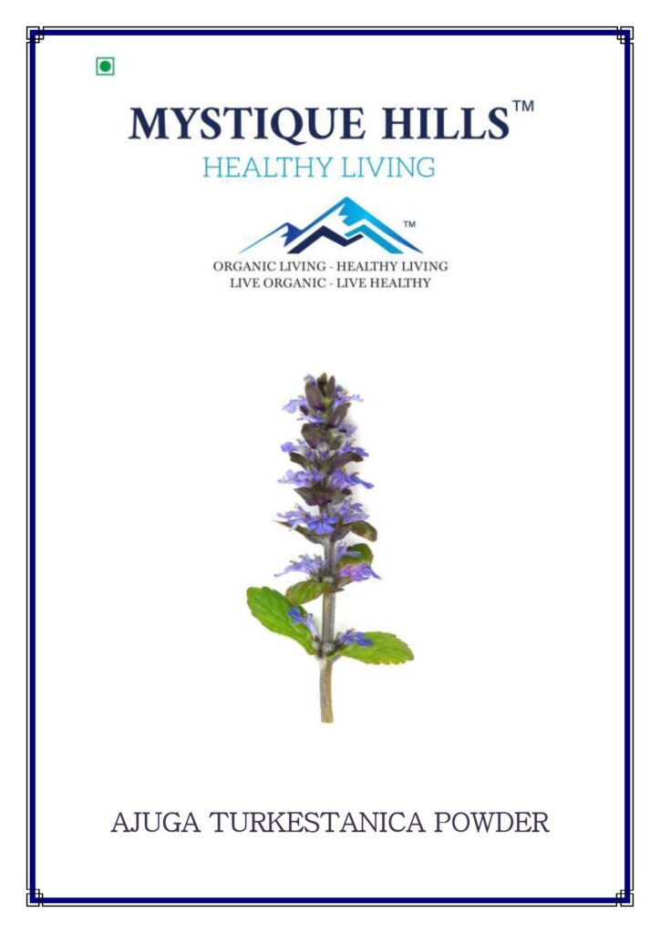Mystique Ajuga turkestanica powder 50 g, Bugleweed powder