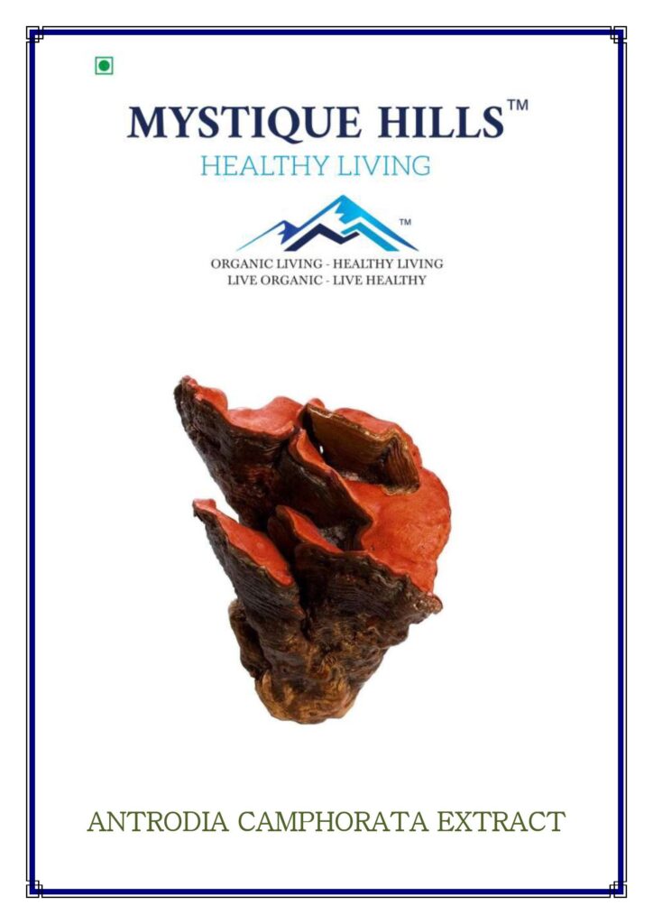 Mystique Antrodia camphorata extract 50 g