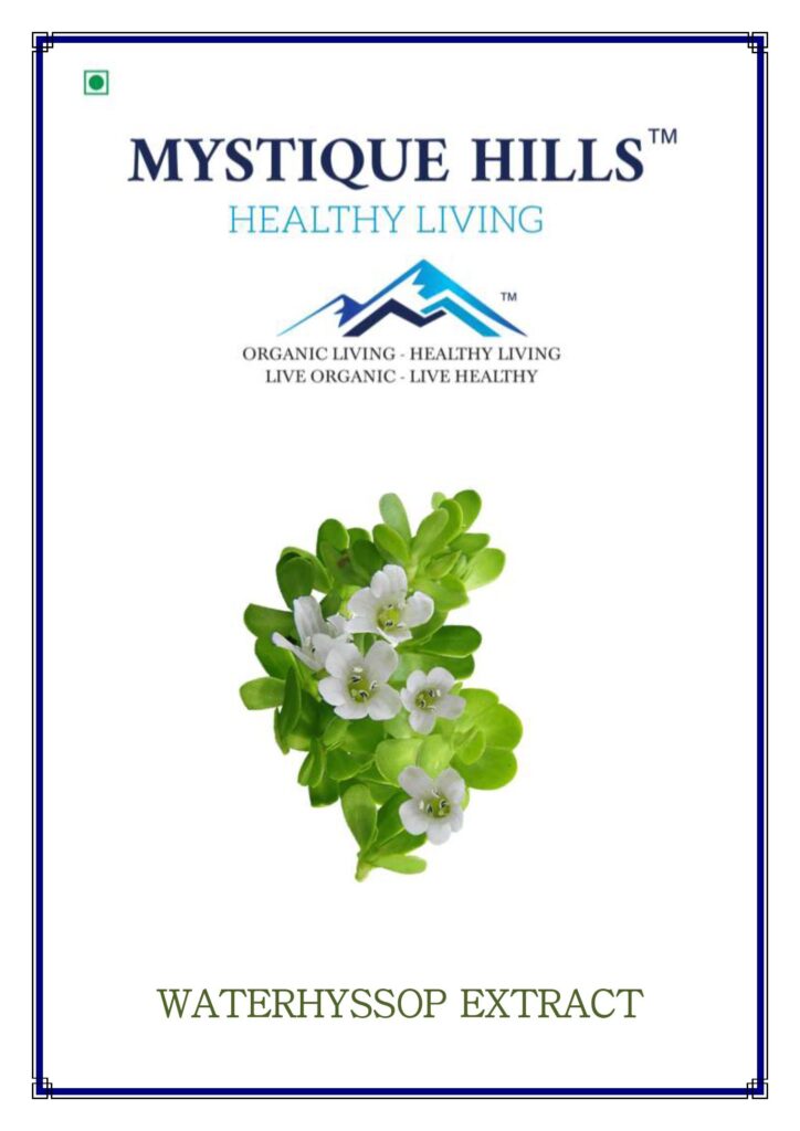 Mystique Waterhyssop extract 50 g , Bacopa monnieri