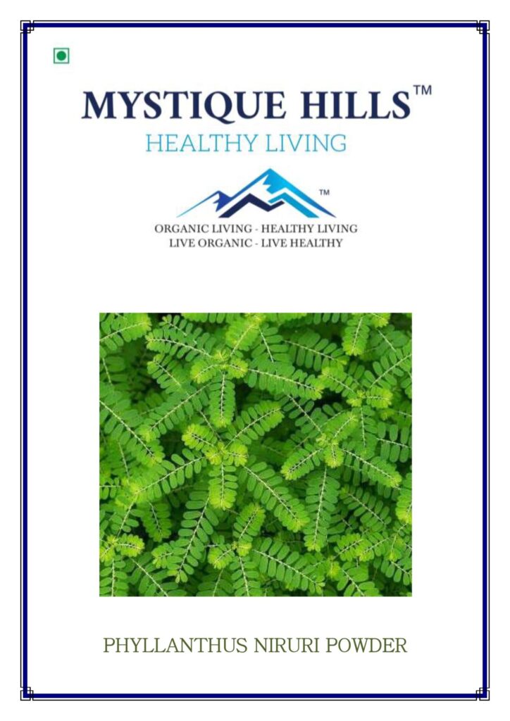 Mystique Bhumyamalaki powder 100 g