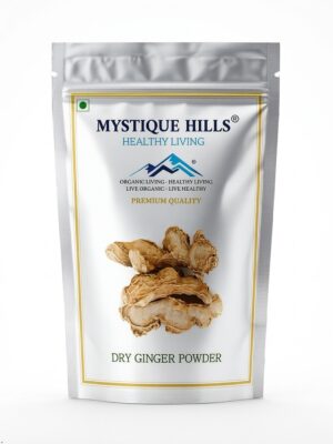 Mystique Dry ginger powder 100 g