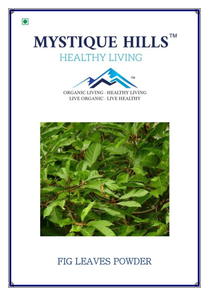 Mystique Fig leaves powder 100 g