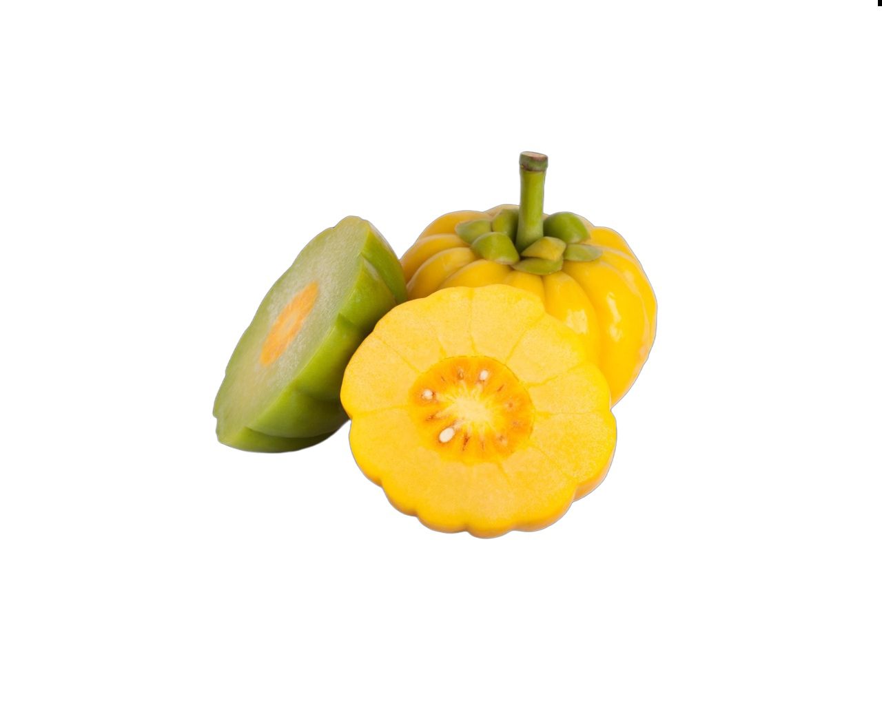 Garcinia gummi-gutta uses and benefits - Image 3