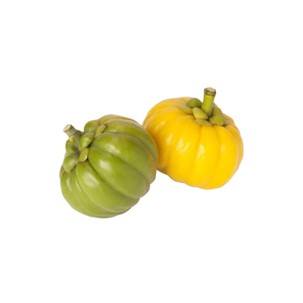 Garcinia gummi-gutta uses and benefits - Image 4