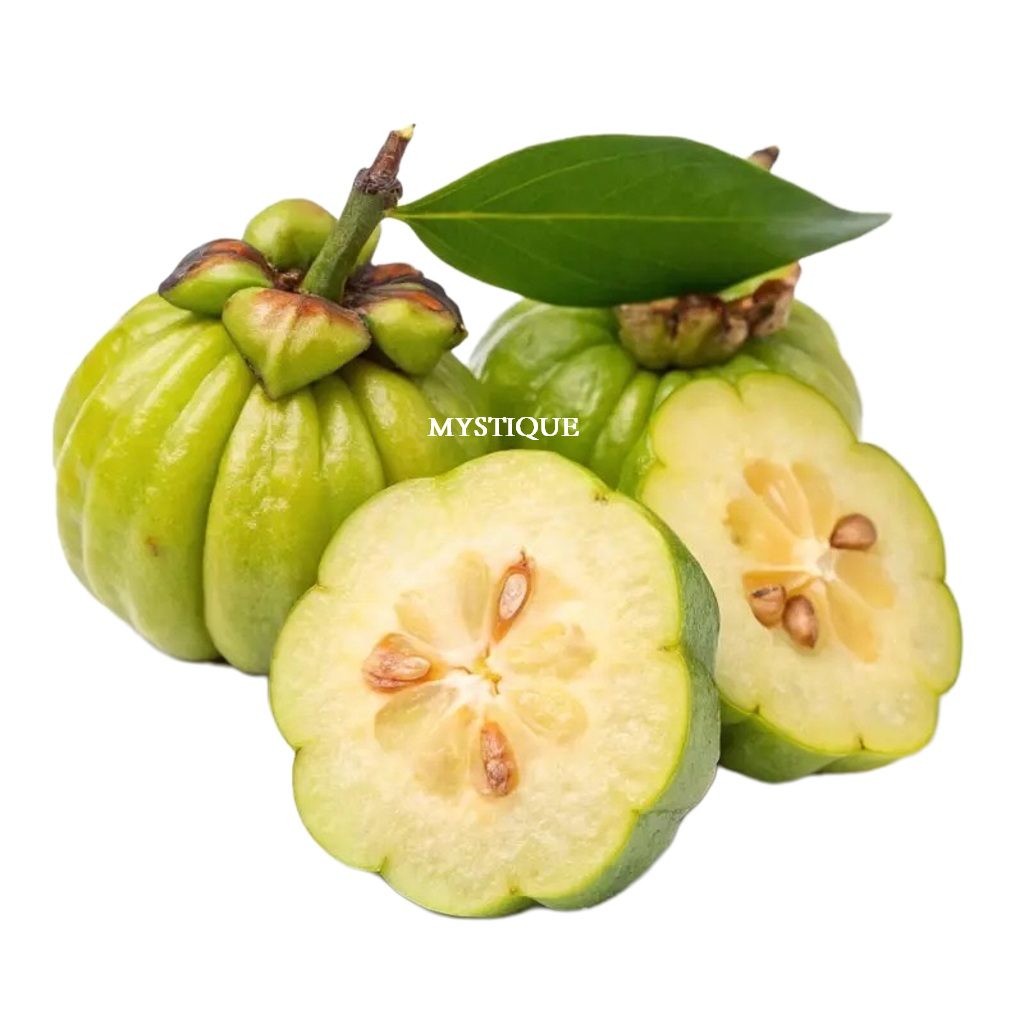 Garcinia gummi-gutta uses and benefits