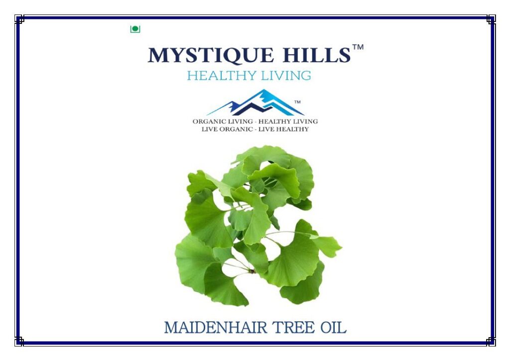 Mystique Maidenhair tree oil 100 ml
