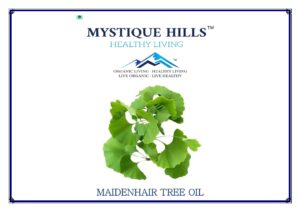 Mystique Maidenhair tree oil 100 ml