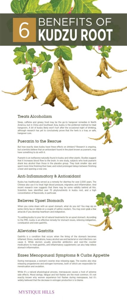 Pueraria lobata root (Thai kudzu) uses and benefits