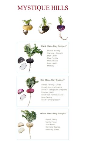 Red maca root uses and benefits
