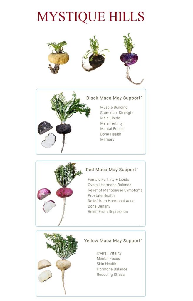 Yellow maca root uses and benefits