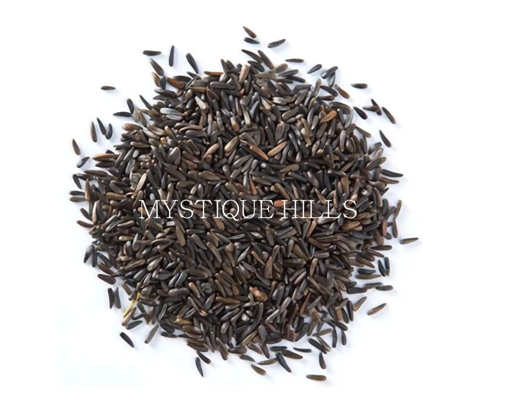 Guizotia abyssinica uses and benefits