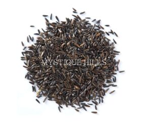 Guizotia abyssinica uses and benefits