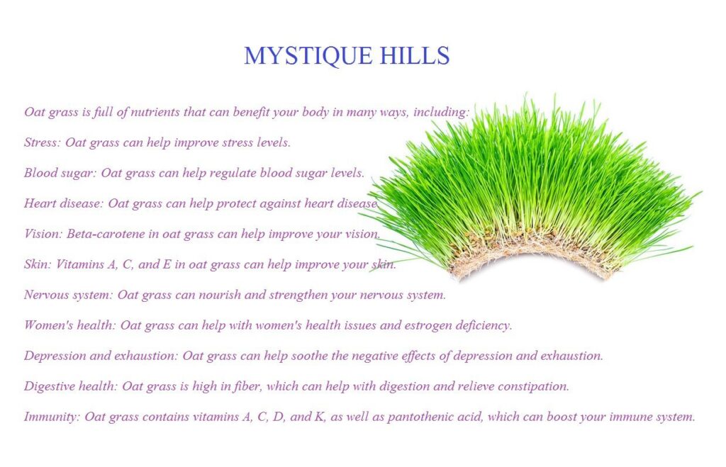 Oat Grass uses and benefits