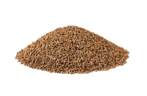 Perilla frutescens uses and benefits