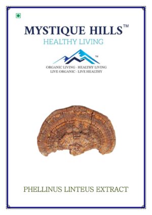 Mystique Phellinus linteus mushroom extract 50 g