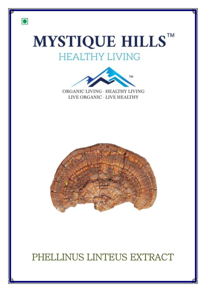 Mystique Phellinus linteus mushroom extract 50 g