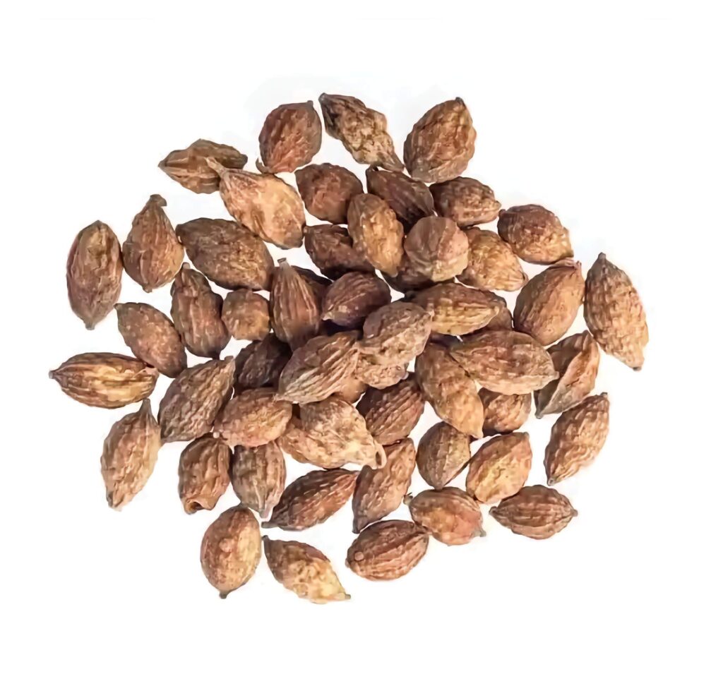 Alpinia oxyphylla uses and benefits