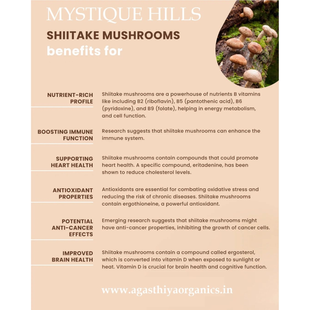 Shiitake Mushroom ,Lentinula edodes uses and benefits