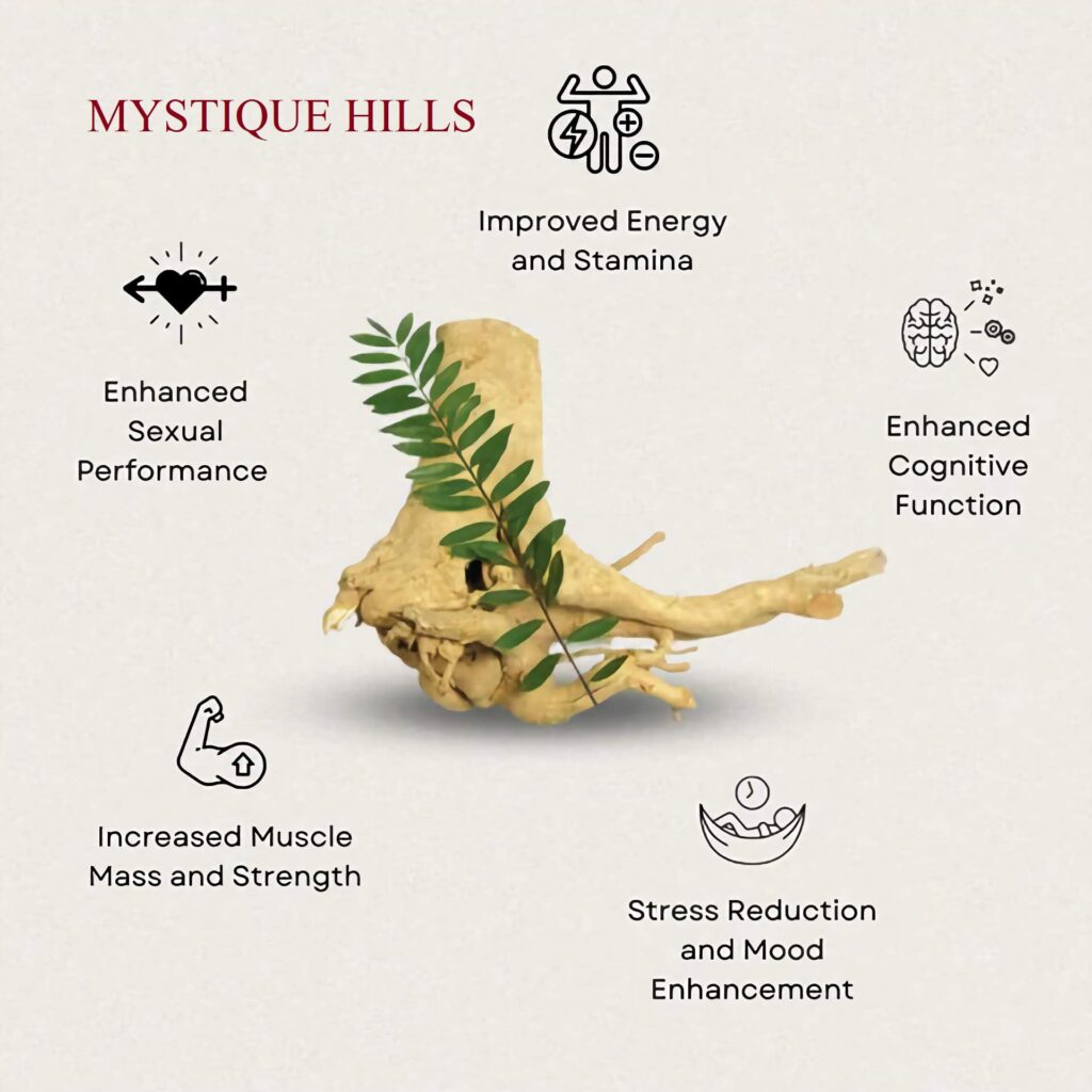 Tongkat Ali uses and benefits