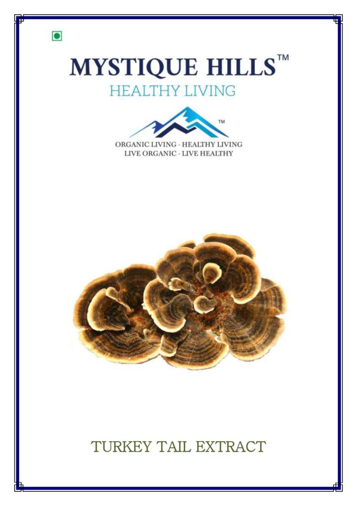 Mystique Turkey tail mushroom extract 50 g
