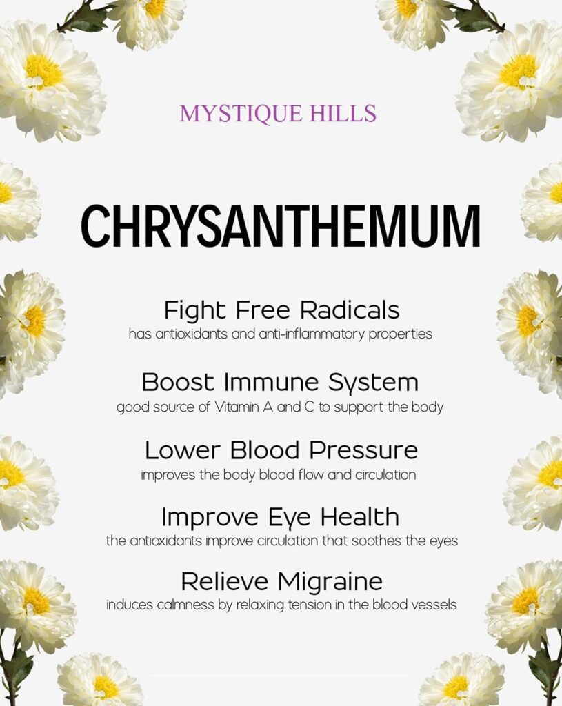 Chrysanthemum flower tea uses and benefits