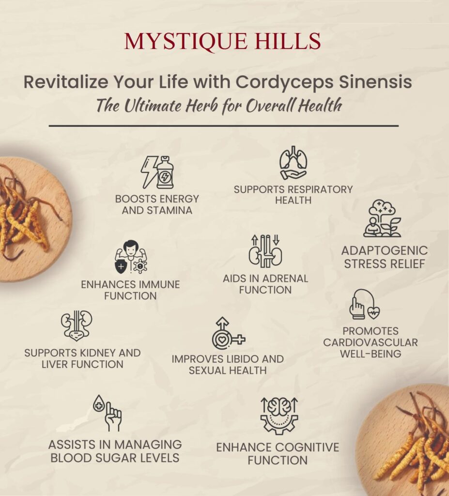 Cordyceps sinensis uses and benefits
